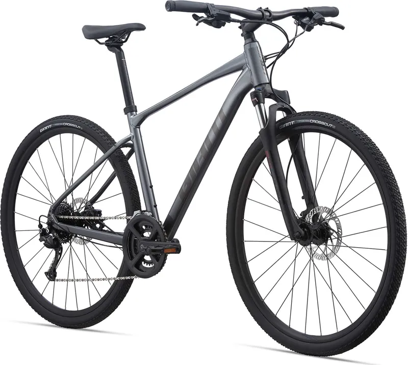 2021 Giant Roam 2 Disc Hybrid Bike in Grey-8