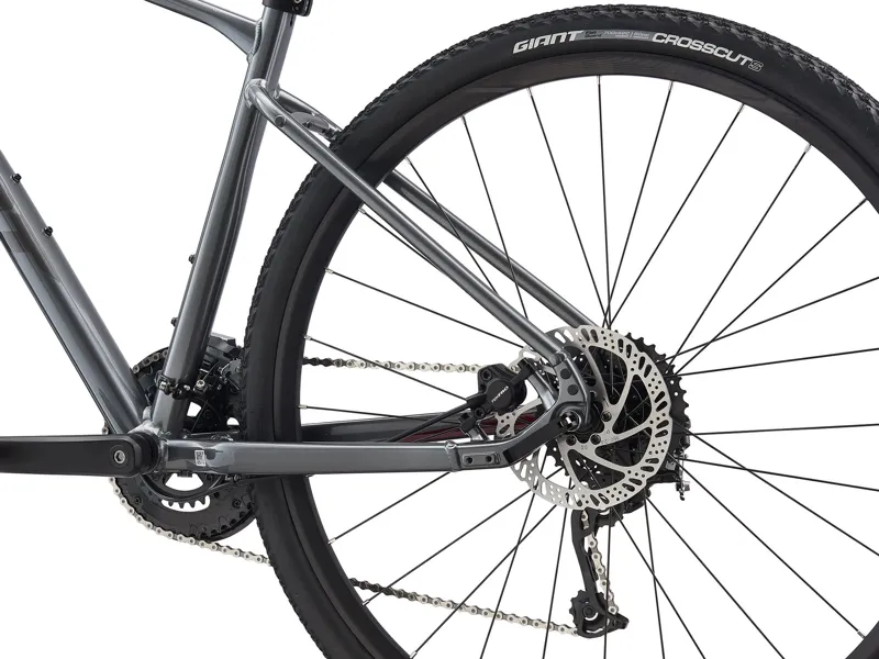2021 Giant Roam 2 Disc Hybrid Bike in Grey-1