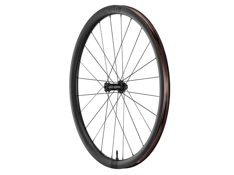 Giant Cxr 1 Tubeless Disc Brake Fw-2