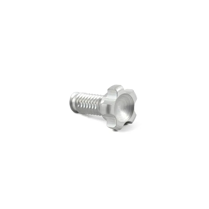 Hope Tech Master Cylinder BPC and Reach Adjuster Screw in Silver