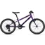 Giant ARX 20 Kid's Bike in Purple
