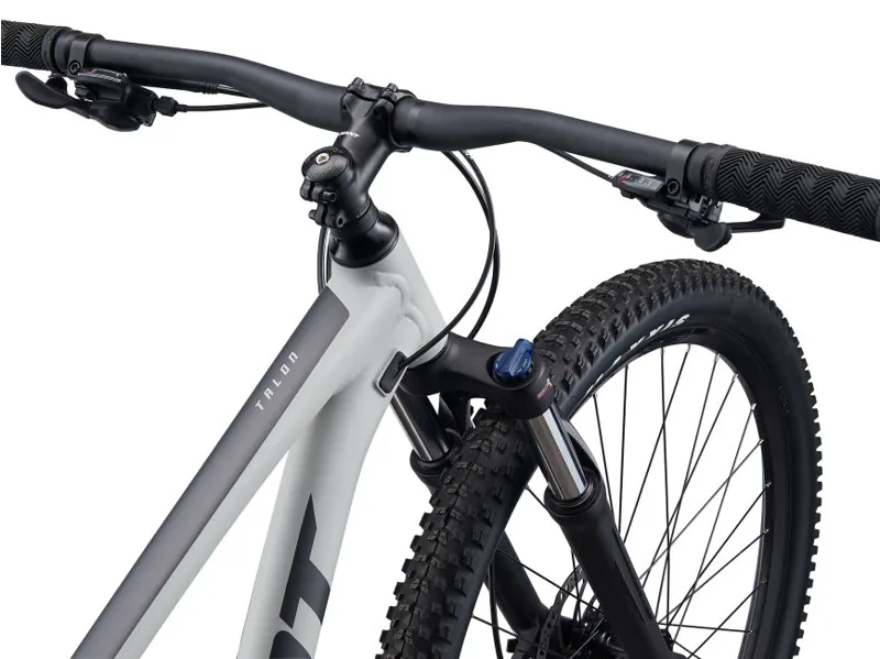 2021 Giant Talon 29 2 Disc Mountain Bike in Grey